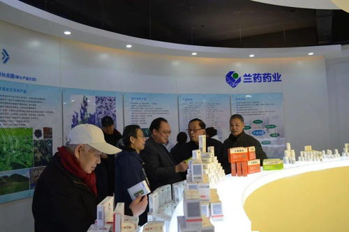 甘肃省经贸协会领导一行调研兰药药业 经济贸易咨询